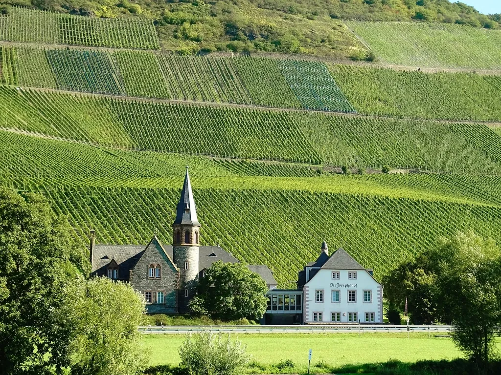 Agricultural vineyard